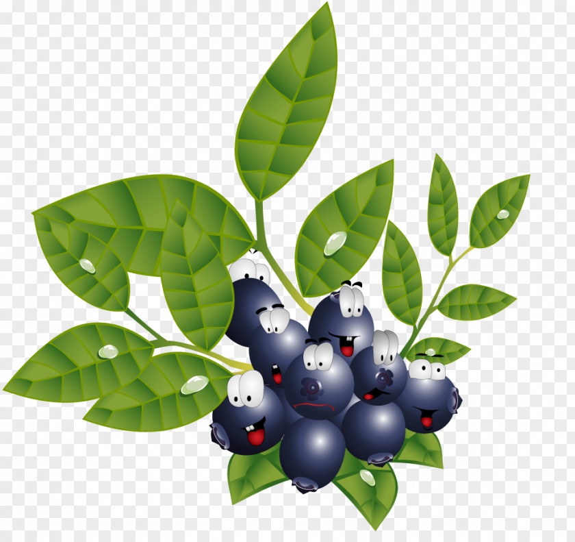Blackberry Villain Fruit Vegetable Download Blackcurrant PNG