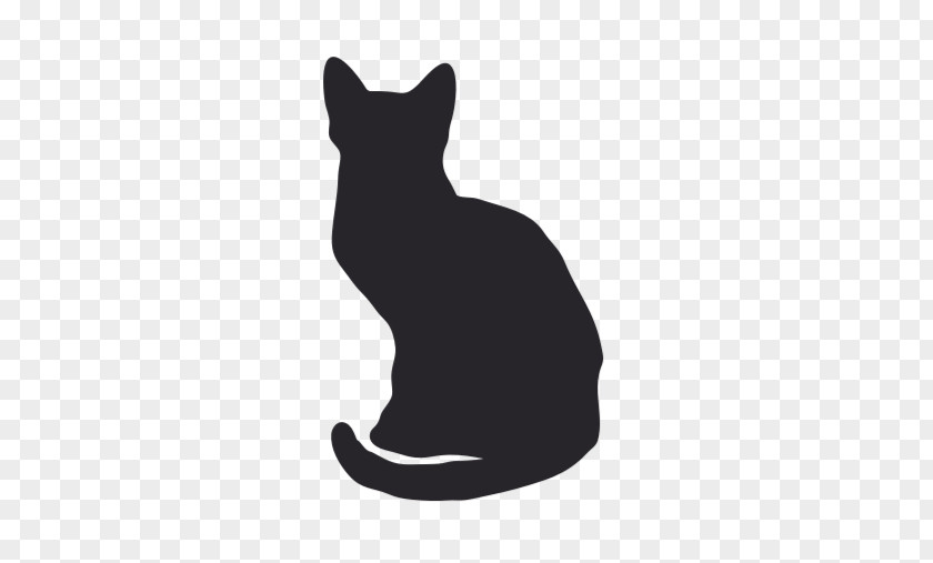 Cat Whiskers Black Silhouette Image PNG