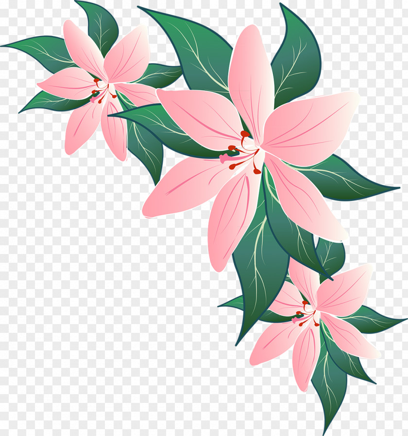 Flower Lily Petal Floral Design Image PNG