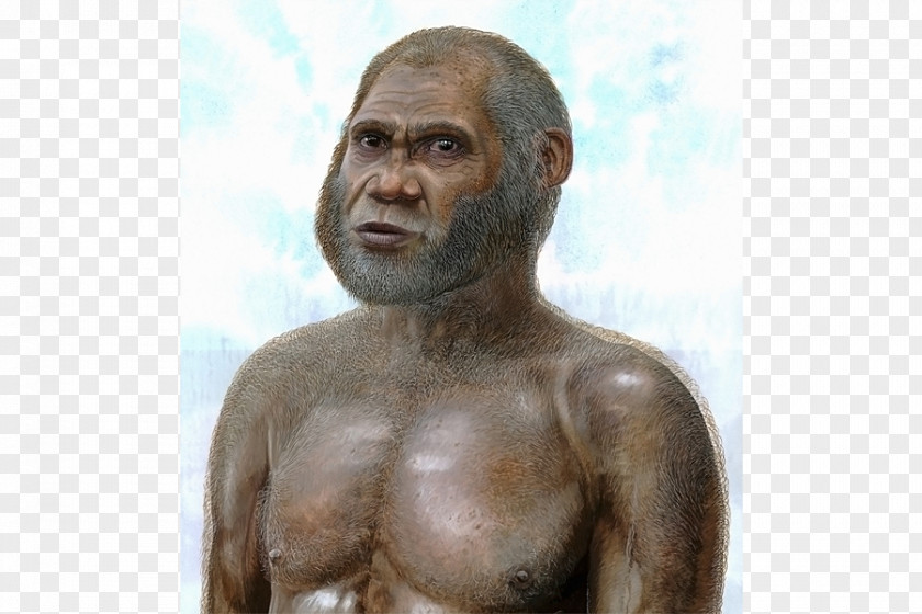 Homo Sapiens Neanderthal Red Deer Cave People Denisovan PNG