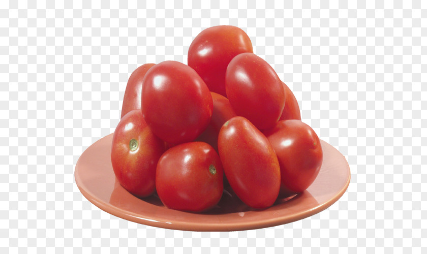 Picked Tomatoes Plum Tomato Cherry Stir-fried And Scrambled Eggs Bush PNG