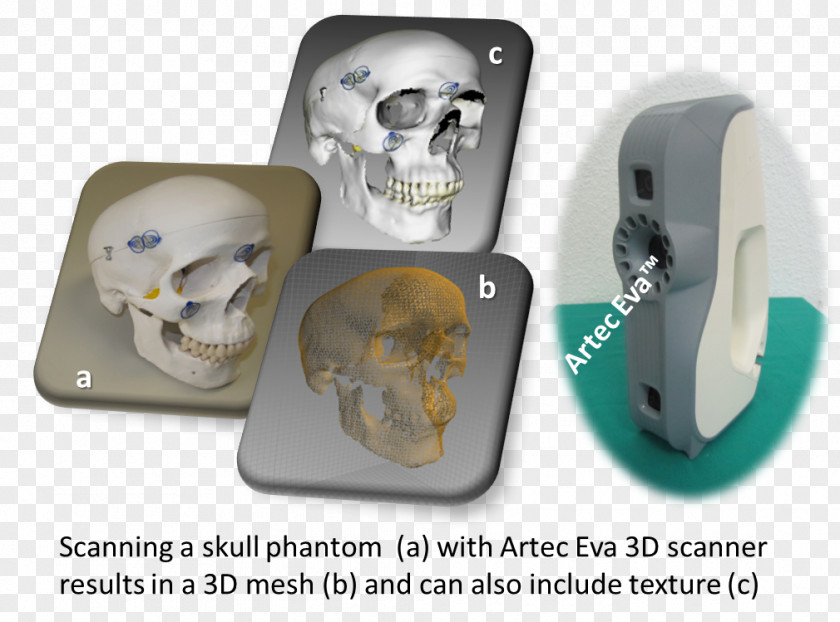 Technology Bone PNG