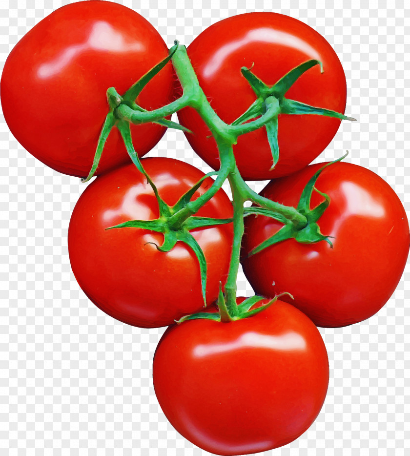 Tomato PNG