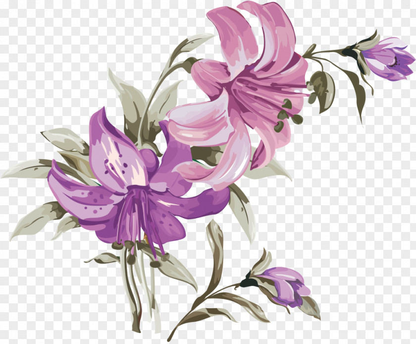 Twine Flower Lilium Drawing Painting PNG