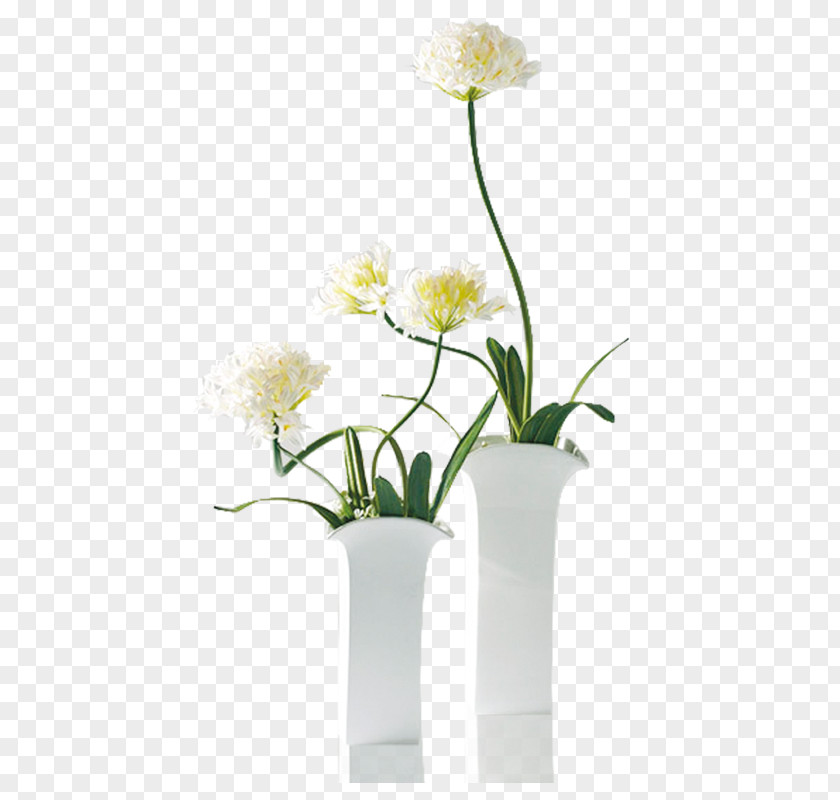 Potted Chrysanthemum Vase Flower PNG