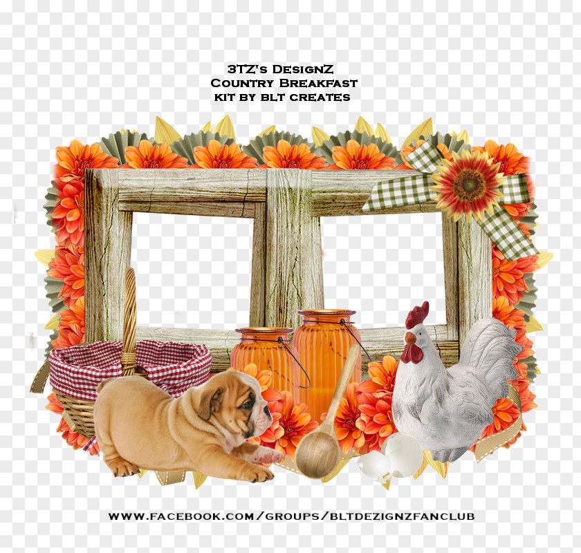Thanksgiving Picture Frames Food PNG