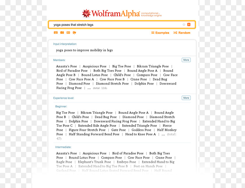 Experience Yoga Classes Wolfram Alpha Web Page Search Engine World Wide PNG