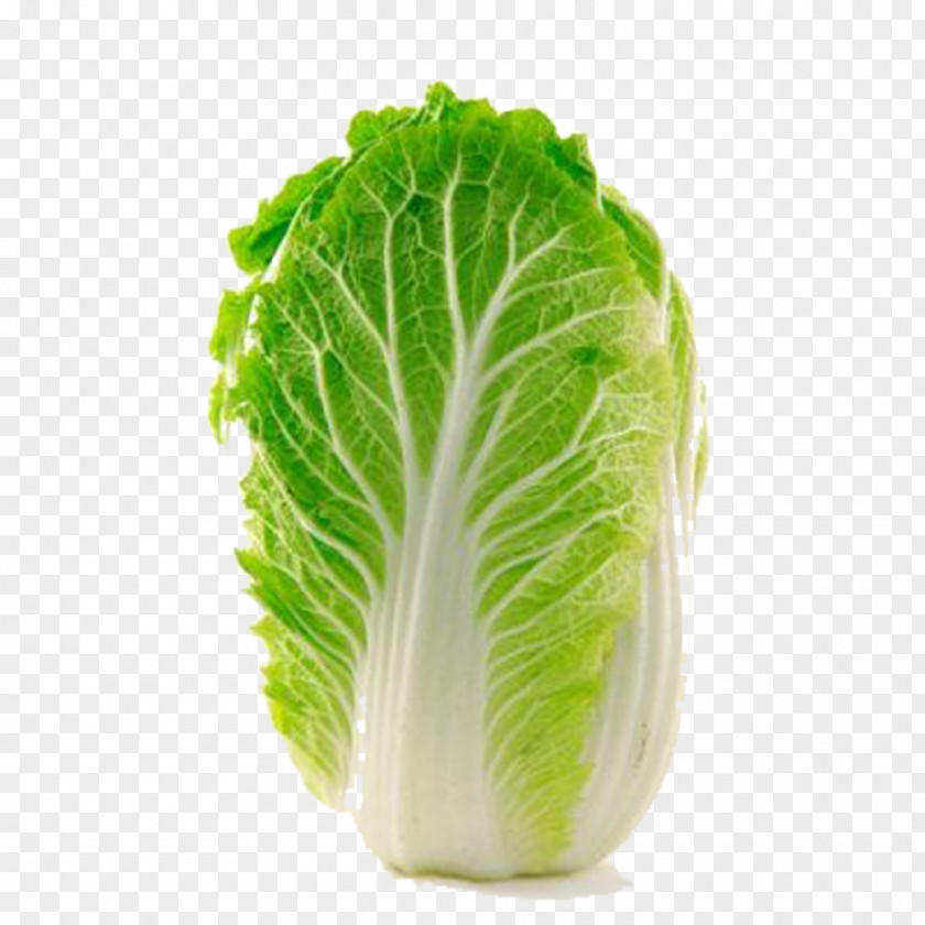 Green Cabbage Napa Choy Sum Kohlrabi Chinese PNG