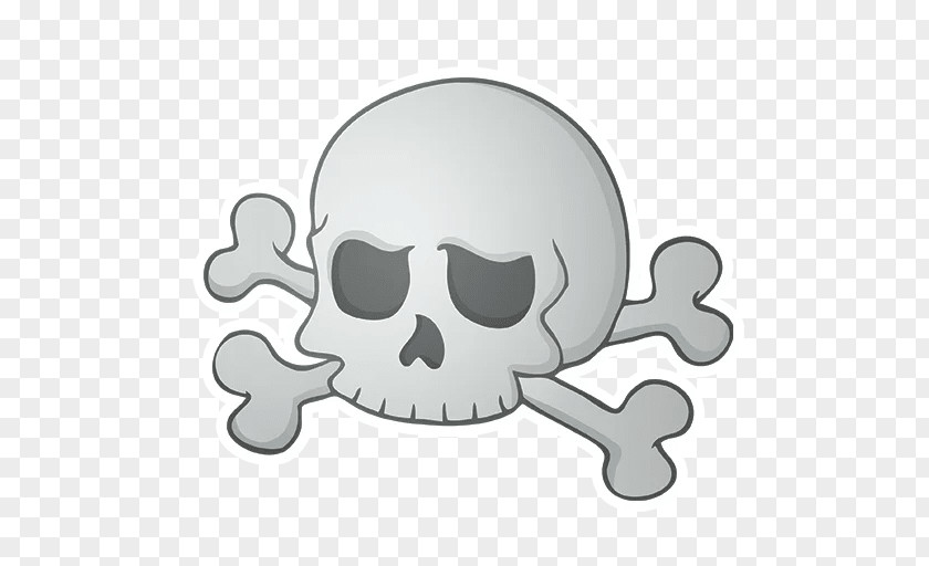 Skull Calavera Human Skeleton Clip Art PNG