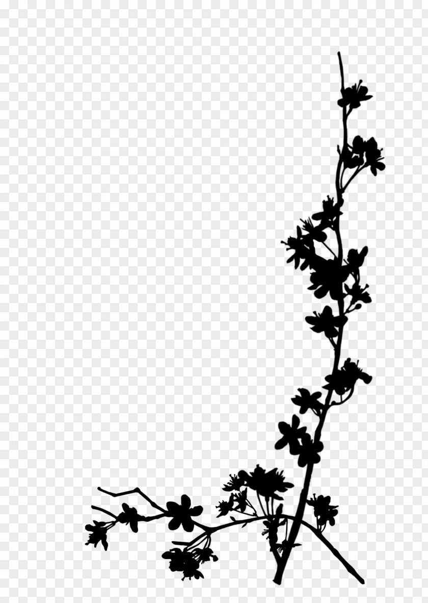 Twig Flower Plant Stem Leaf Font PNG