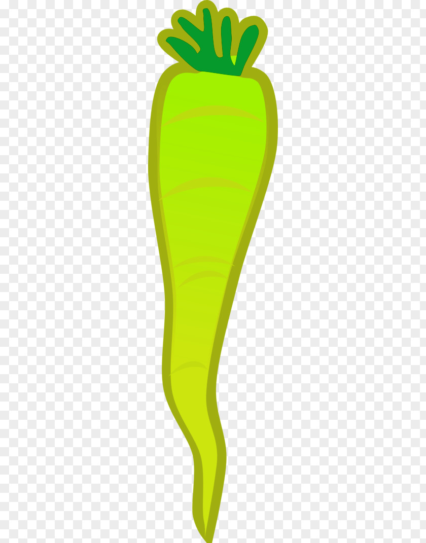 Vegetable Folder Green Leaf Clip Art PNG