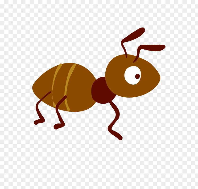 Ant Cartoon PNG