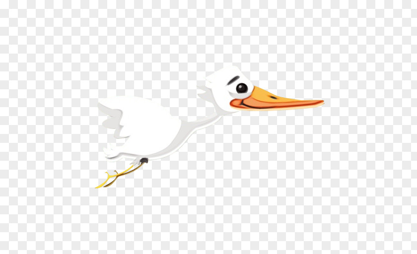 Birds Duck Seabird Beak Wader PNG