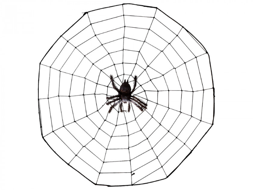 Cartoon Spiders Pictures Spider Web Clip Art PNG