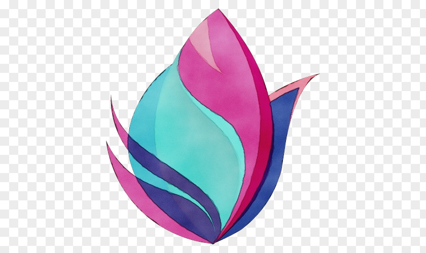 Feather Petal Leaf Design PNG