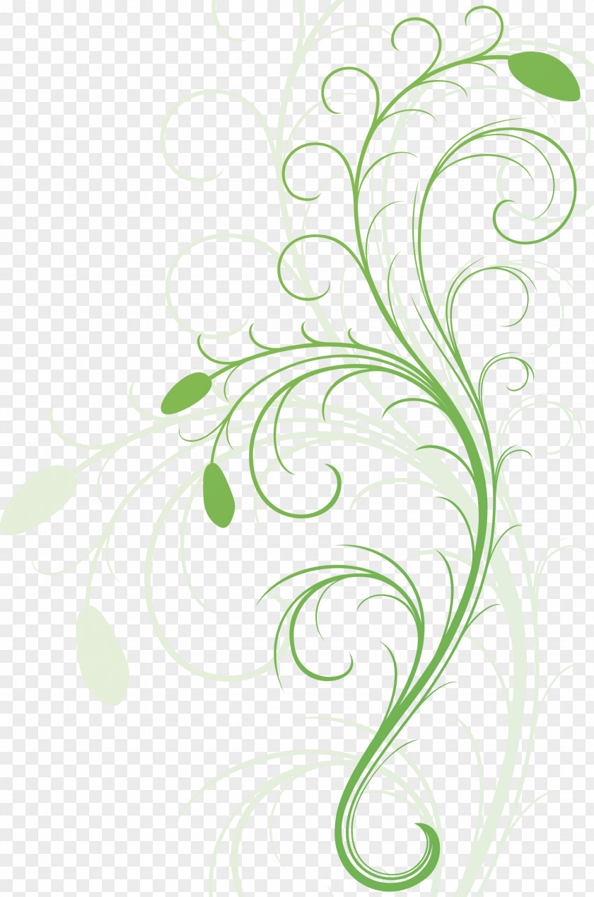 Floral Flourish Cliparts Design Green Flower Clip Art PNG
