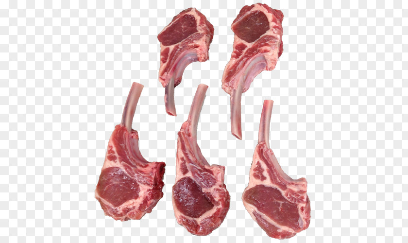 Lamb Chops Halal Red Meat And Mutton Jingisukan Chop PNG