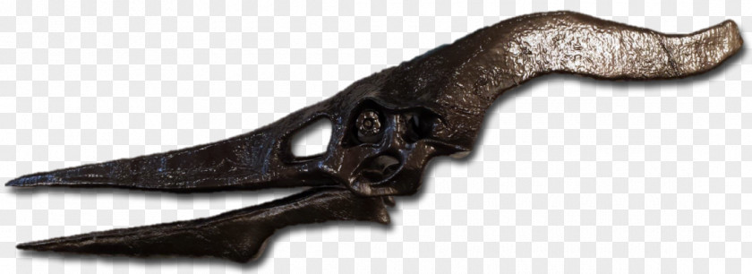 Late Cretaceous Ranged Weapon Animal PNG
