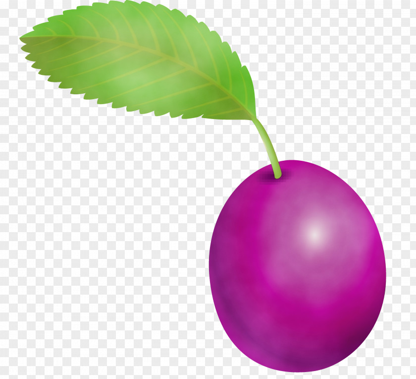 Leaf European Plum Violet Fruit Plant PNG