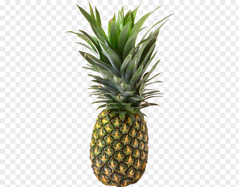 Pineapple Juice Chunk PNG