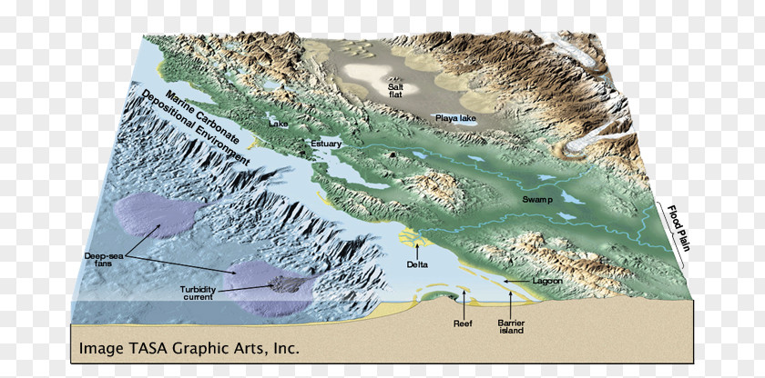 Rock Depositional Environment Sedimentary Calcium Carbonate PNG