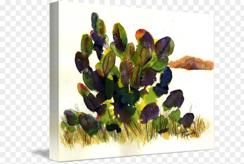 Watercolor Succulent Cactaceae Painting Imagekind Printmaking PNG