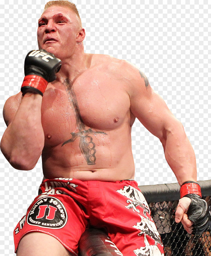 Brock Lesnar UFC 200: Tate Vs. Nunes Mixed Martial Arts Heavyweight Boxing PNG