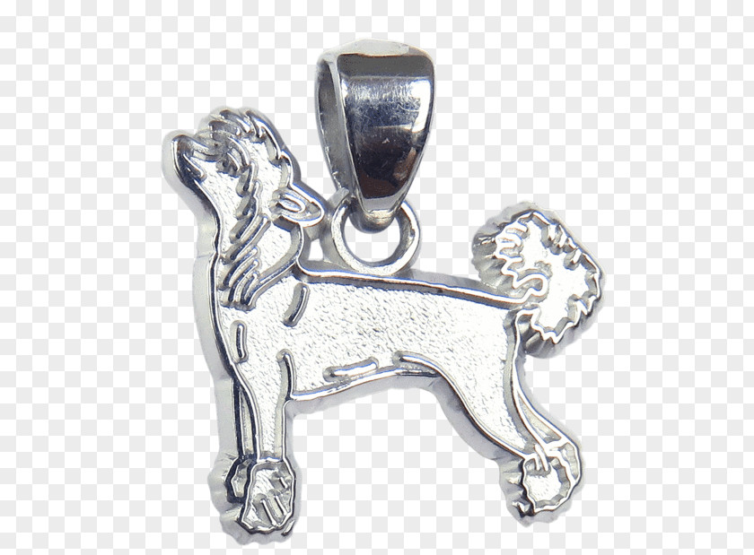 Chinese Crested Dog Airedale Terrier Locket Breed Charms & Pendants PNG