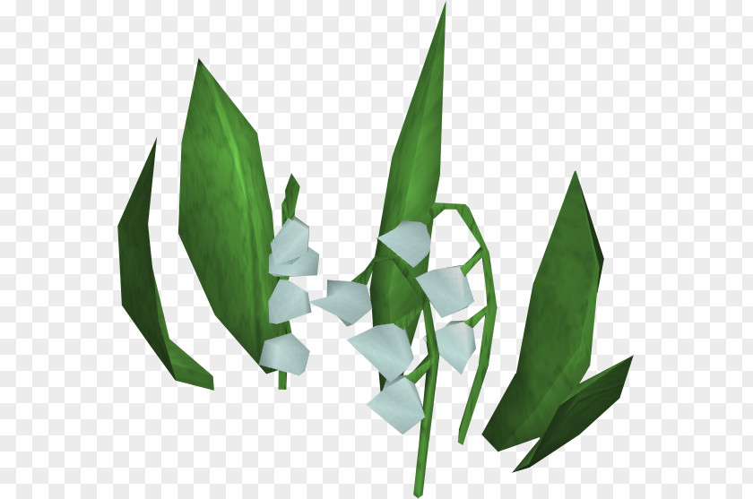 Lily Of The Valley Transparent Leaf PNG