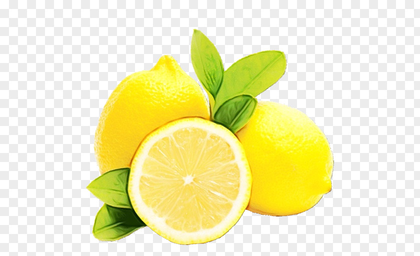 Pomelo Bitter Orange Lemon PNG