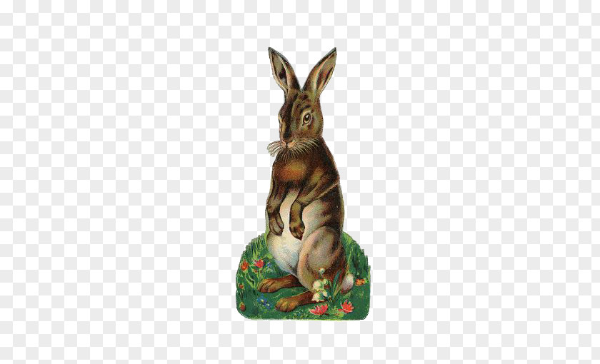 Retro Rabbit Easter Bunny Hare Postcard Clip Art PNG