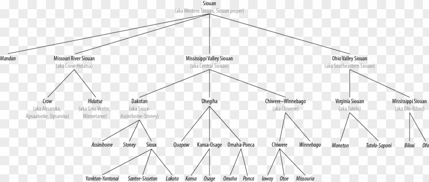 Triangle Point Diagram PNG