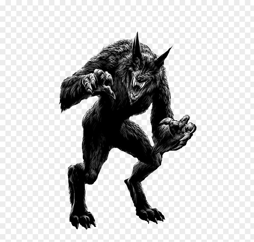 Werewolf Cycle Of The Horror Howl PNG
