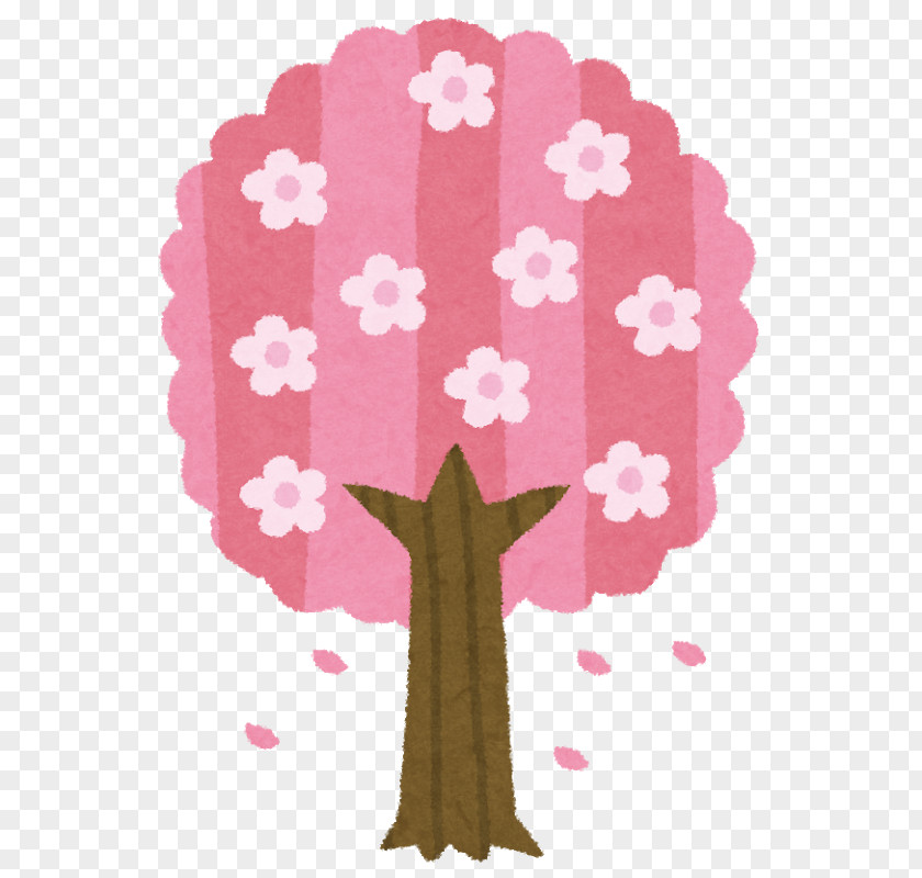 Cherry Blossom テンネンイサハヤオンセンワスパ Fuchu Hanami Tree PNG
