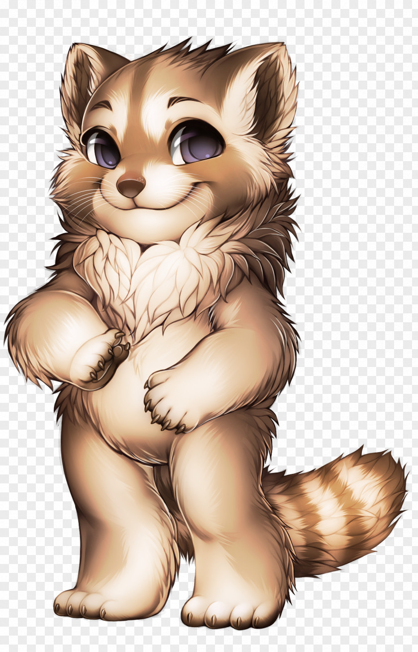 Cute Raccoon Whiskers Ferret Weasels Cat PNG