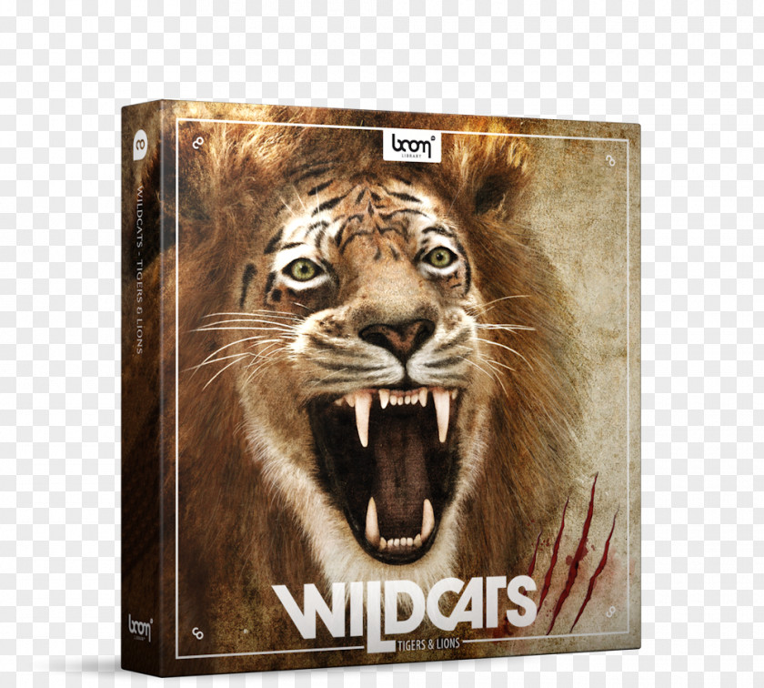 Lions Roar Lion Tiger Sound Effect PNG