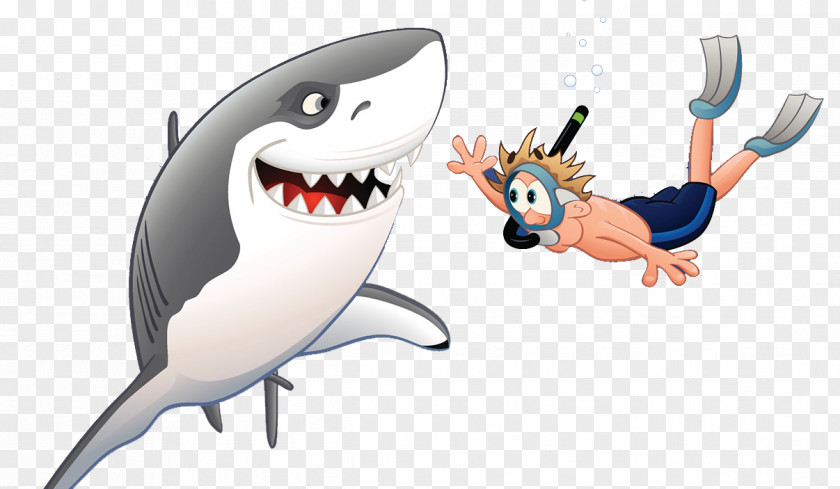 Shark Cartoon Illustration PNG