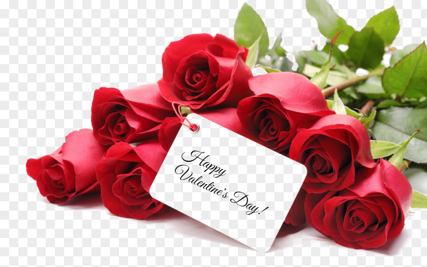 Valentine's Day Gift Rose 2018 February 14 PNG