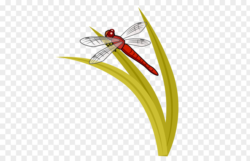 Dragonfly Art Autumn Leaf Color Clip PNG