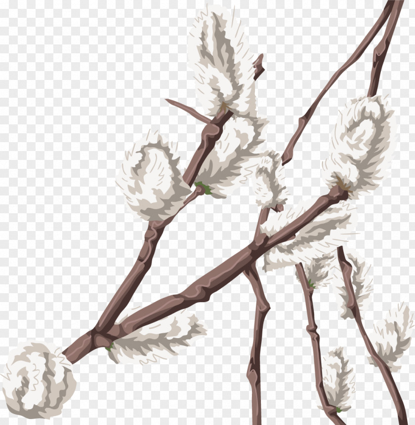 Flower Twig Plant Stem Flowering Rope PNG