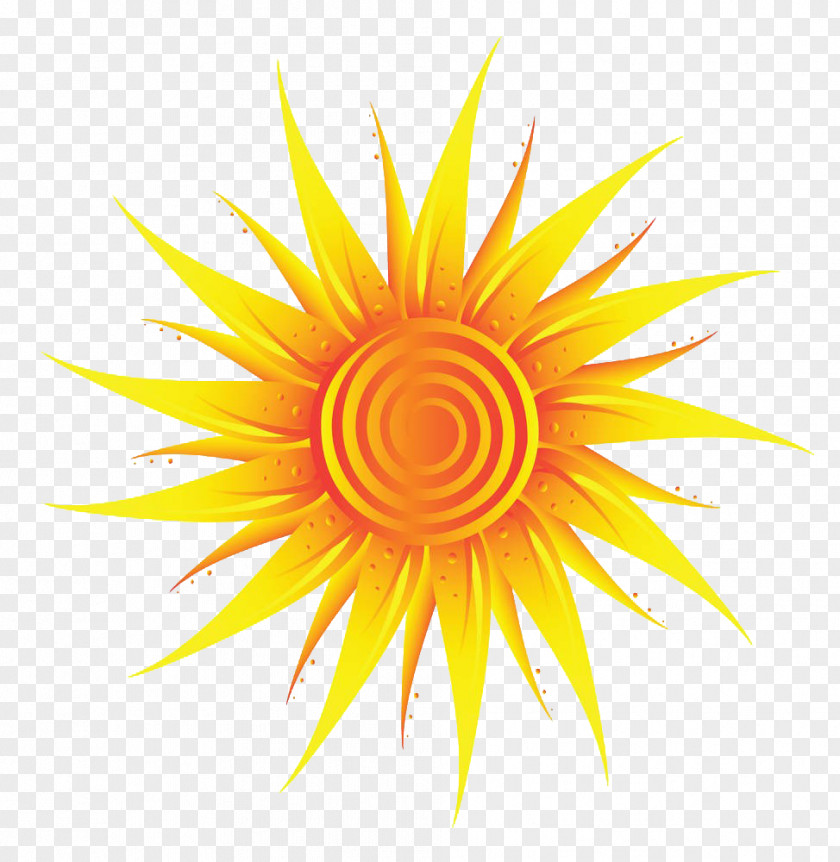 Golden Sunshine Drawing Sunlight Stock Illustration Clip Art PNG
