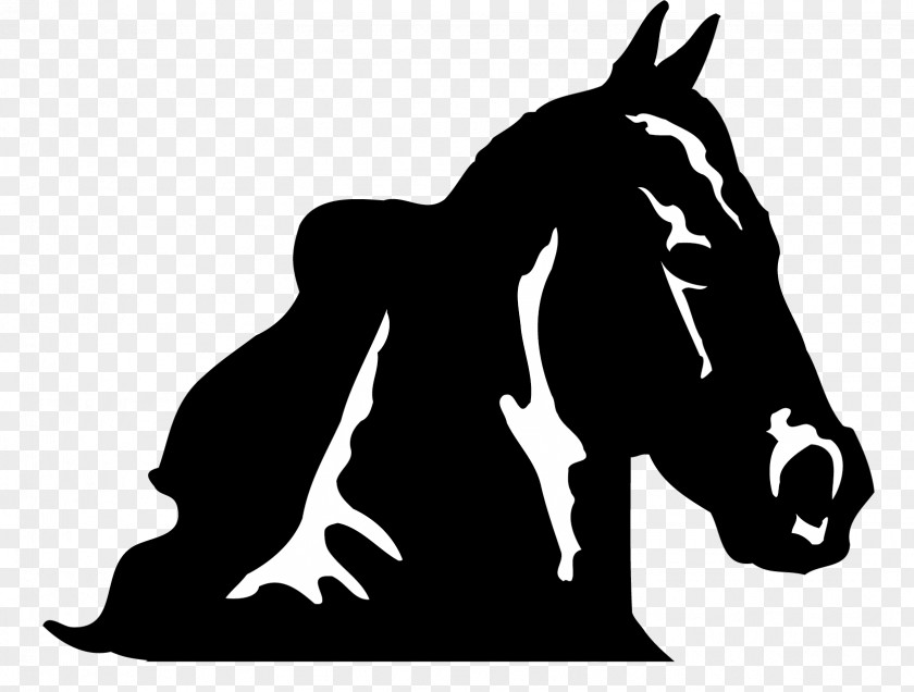 Horse Black And White Clip Art PNG