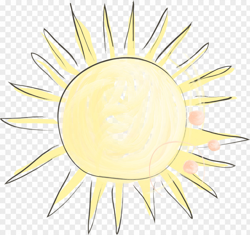 Sunshine Yellow Circle Flower Clip Art PNG