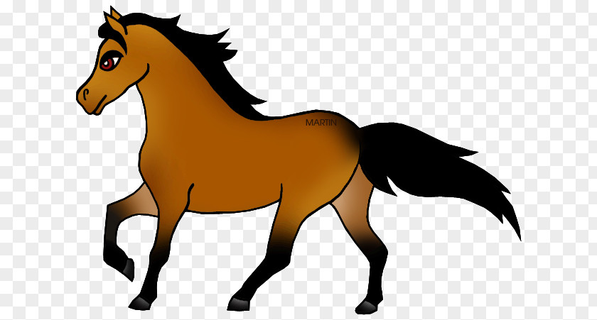 Tennessee Walking Horse Clip Art PNG