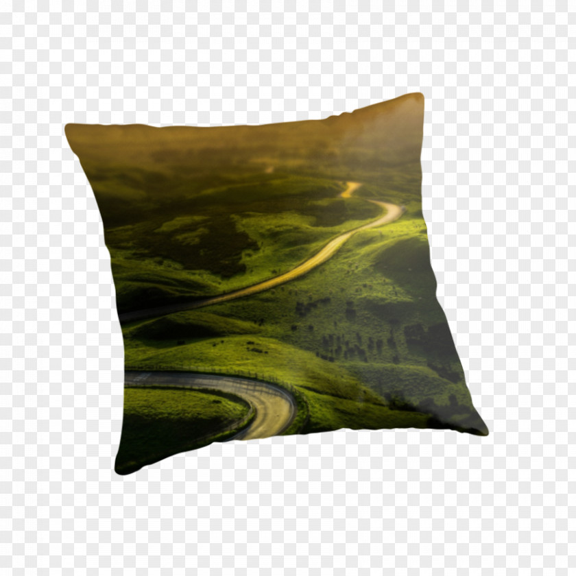 Winding Throw Pillows Cushion Rectangle PNG