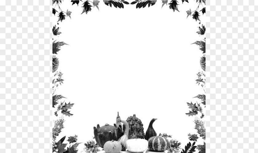Free Thanksgiving Border Public Holiday Picture Frames Clip Art PNG