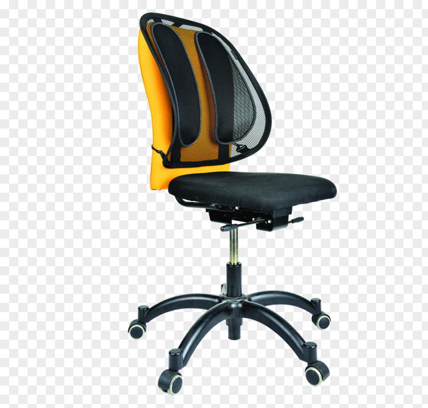 Hanger Office Supplies Fellowes Brands Human Back Chair Business PNG