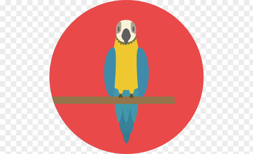 Pet Bird Beak Macaw Logo Font PNG