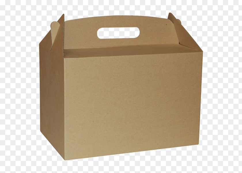 Design Cardboard Carton PNG