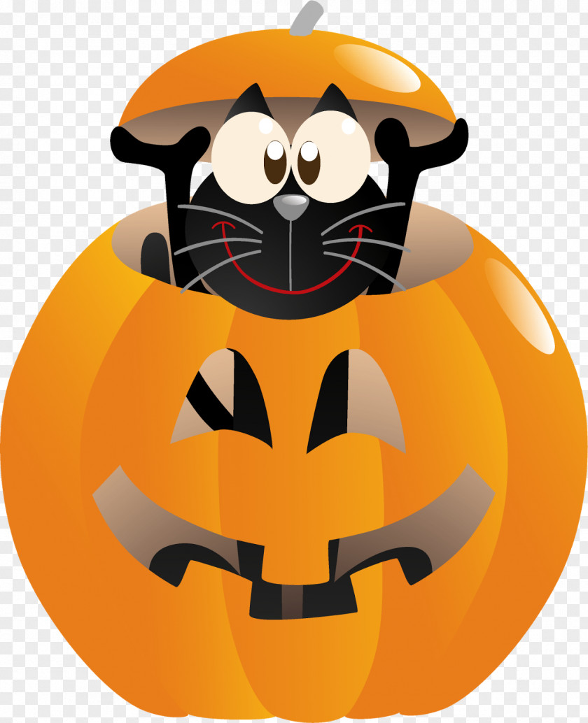 Halloween Jack-o'-lantern Vector Graphics Pumpkin Portable Network PNG